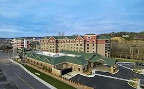 Black Fox Lodge Pigeon Forge, Tapestry Collection By Hilton